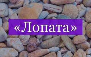 Всё о лопатах: виды, характеристики, уход