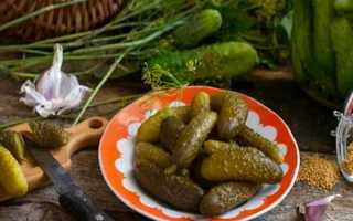 Домашнее консервирование огурцов на зиму – найдите свой любимый рецепт!